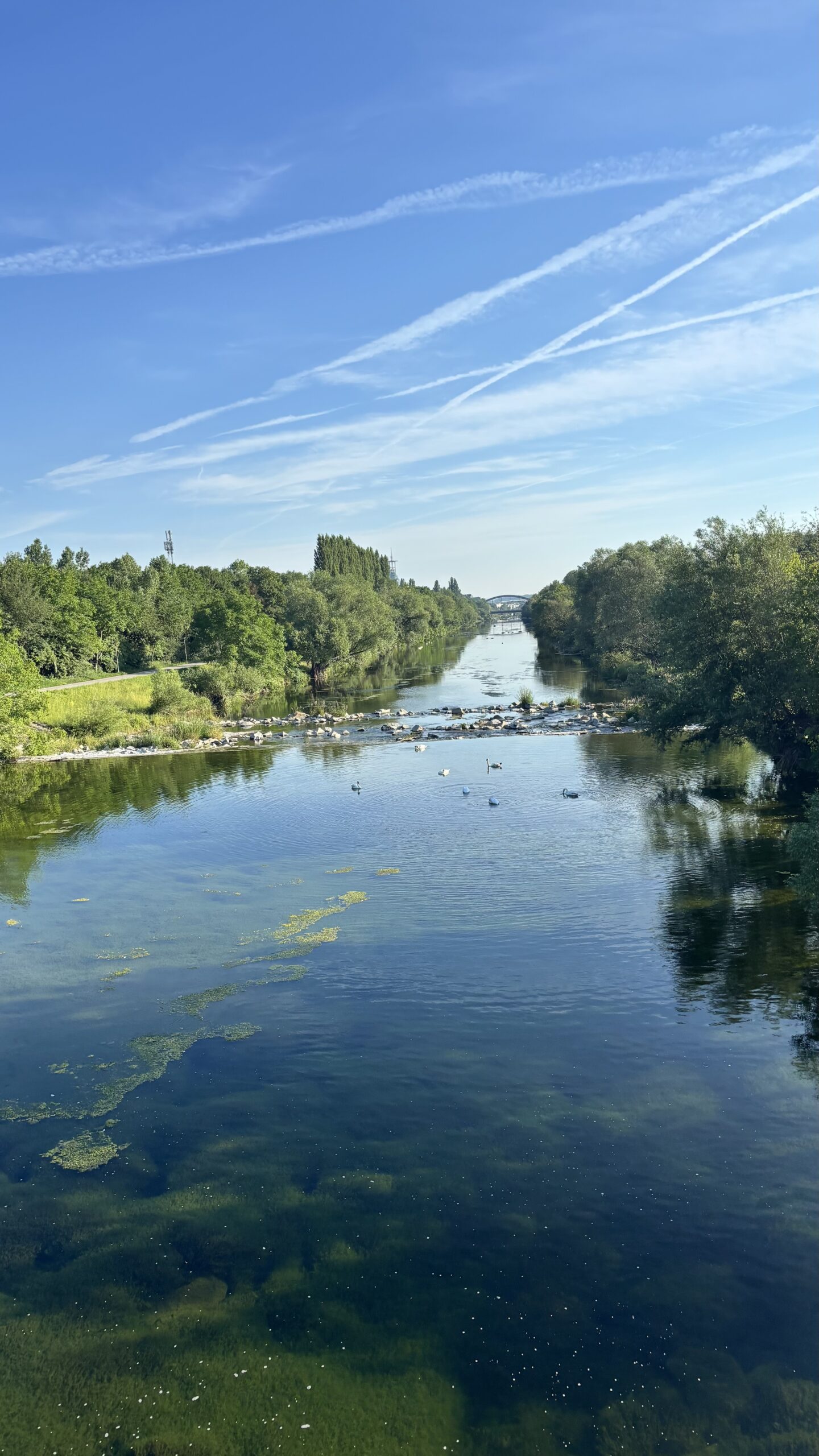 An der Traisen