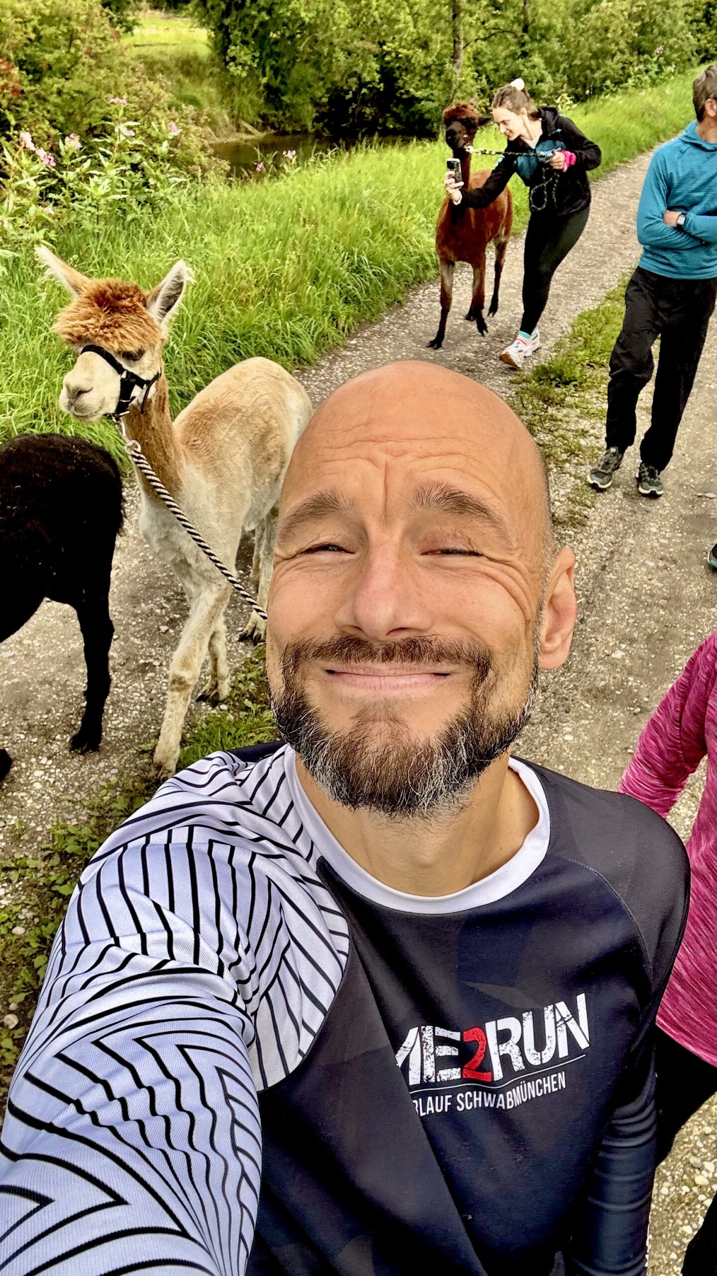 Letzte Runde am Sonntagmorgen mit den Alpakas