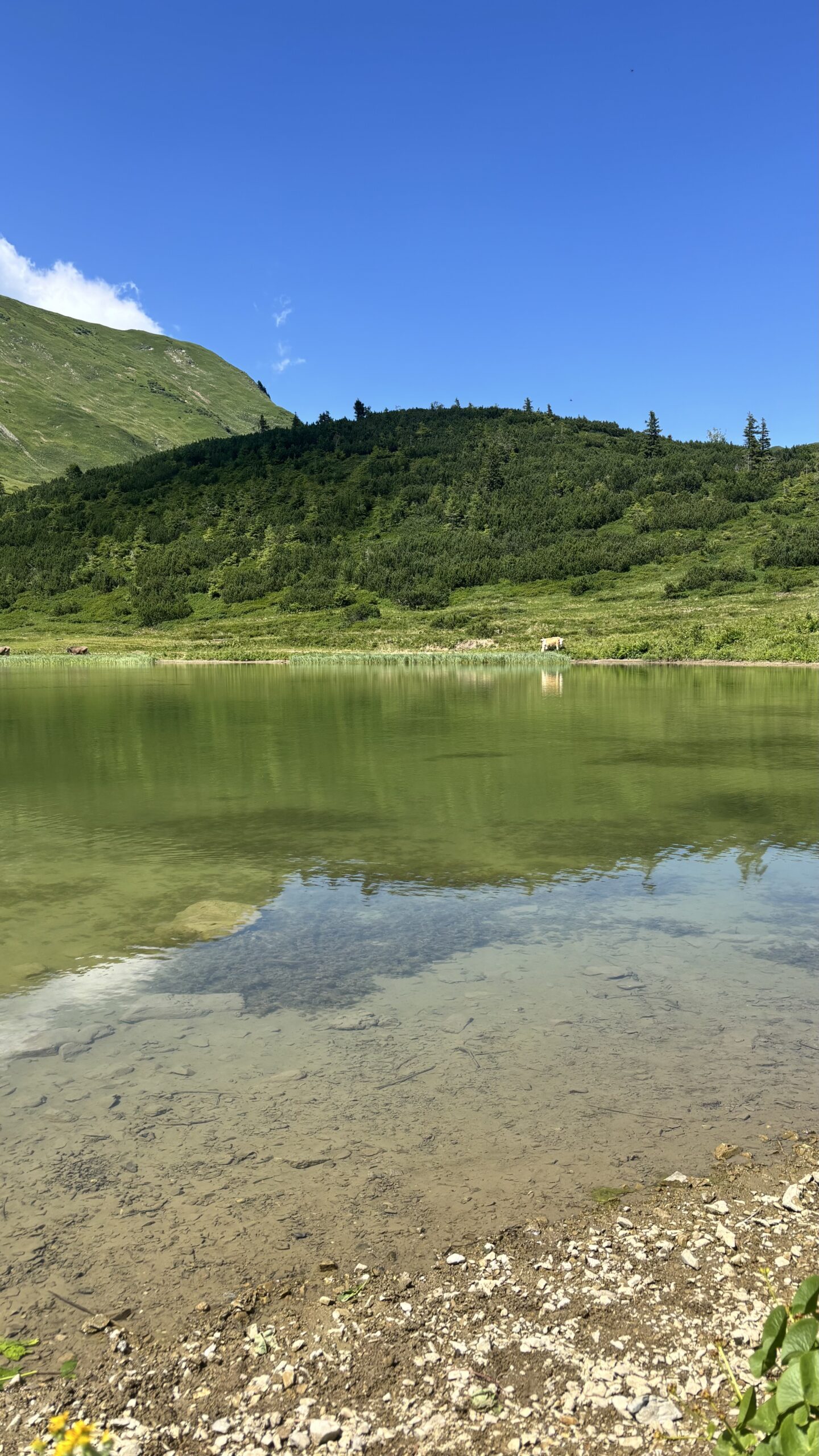 Schlappoldsee
