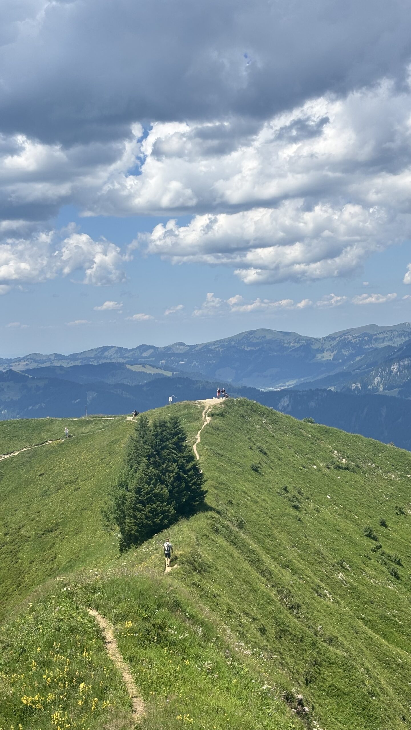 Gratweg zwischen Fellhorn und Kanzelwand